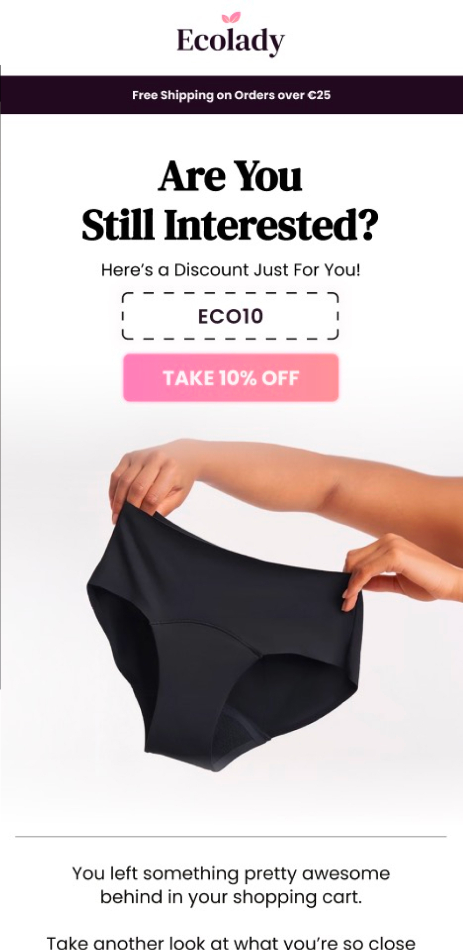 Ecolady discount reminder email